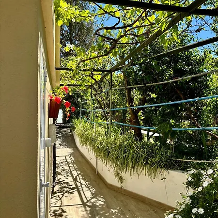 Vasco Da Gama Otel *