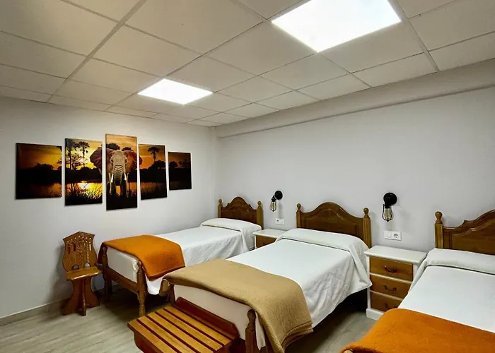 Vasco Da Gama Сабарис