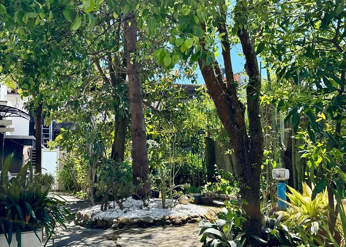 Vasco Da Gama Сабарис