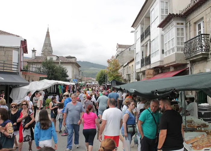 Отель Vasco Da Gama